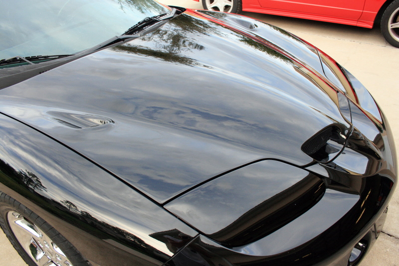 Name:  IMG_6355.jpg
Views: 89
Size:  336.0 KB