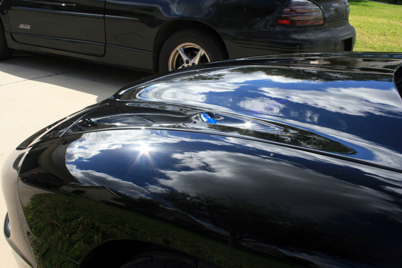 Name:  IMG_6309.jpg
Views: 130
Size:  313.8 KB