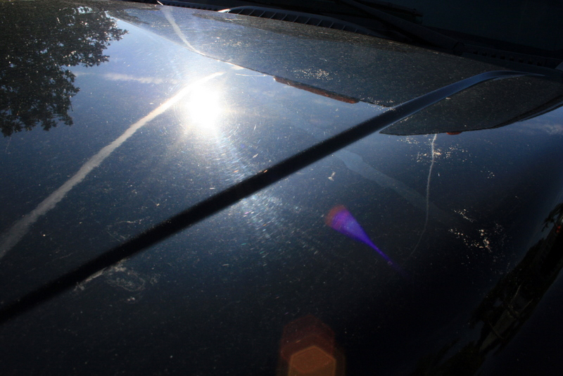 Name:  IMG_5937.jpg
Views: 106
Size:  275.5 KB