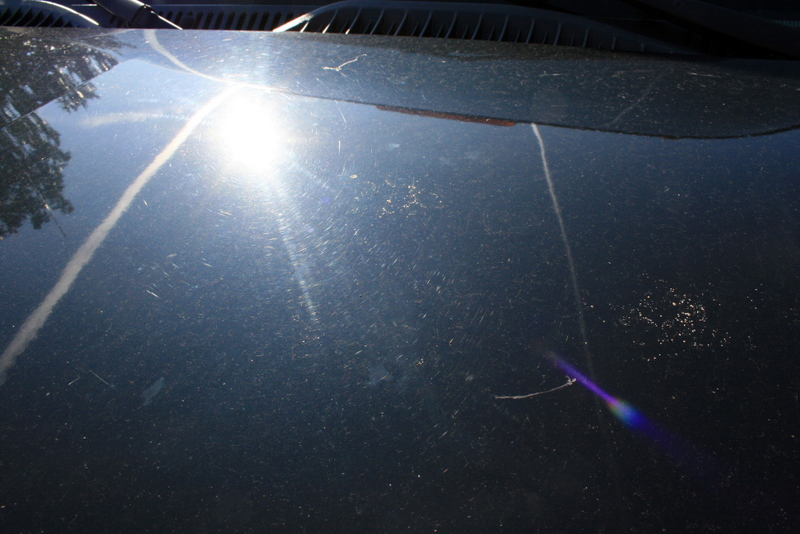 Name:  IMG_5938.jpg
Views: 94
Size:  306.1 KB