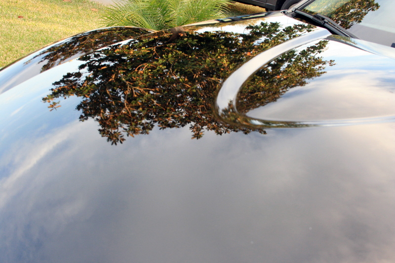 Name:  IMG_5530.jpg
Views: 204
Size:  346.9 KB