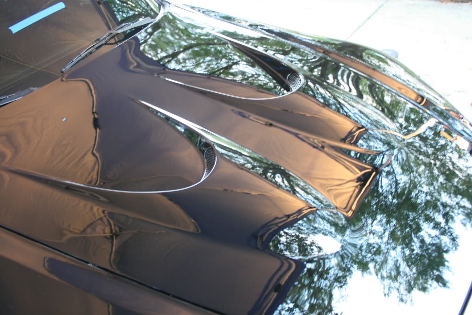 Name:  IMG_4979.jpg
Views: 149
Size:  119.6 KB