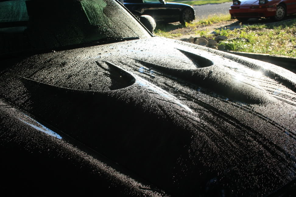 Name:  IMG_5026.jpg
Views: 75
Size:  184.1 KB