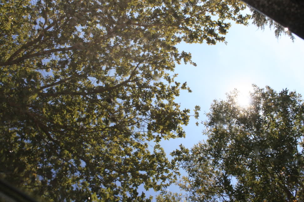 Name:  IMG_5018.jpg
Views: 122
Size:  192.7 KB