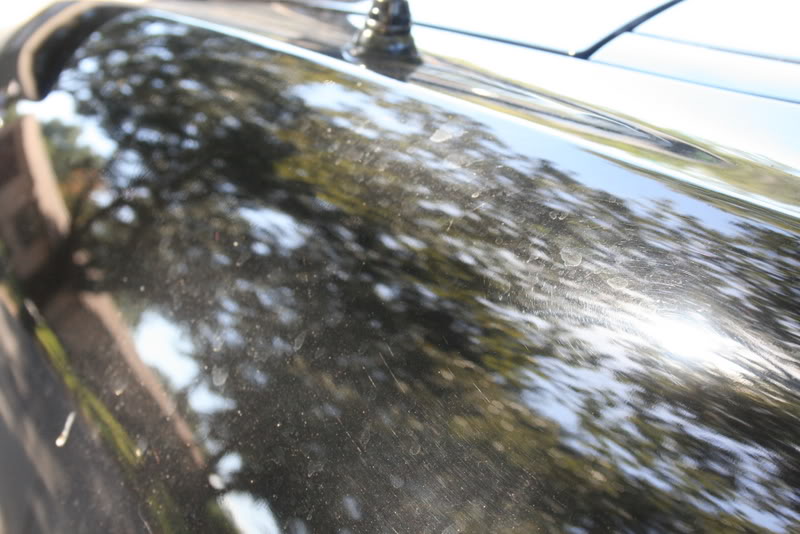 Name:  IMG_4782.jpg
Views: 212
Size:  78.4 KB