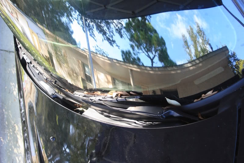 Name:  IMG_4818.jpg
Views: 132
Size:  86.9 KB