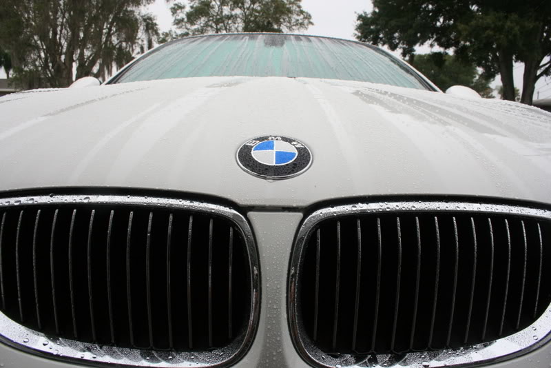 Name:  IMG_4921.jpg
Views: 63
Size:  77.2 KB