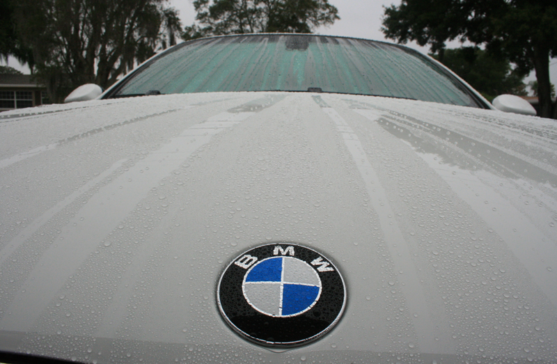 Name:  IMG_4920.jpg
Views: 74
Size:  364.7 KB