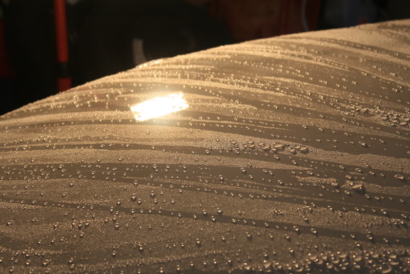 Name:  IMG_4922.jpg
Views: 65
Size:  97.8 KB