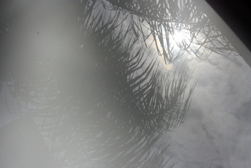 Name:  IMG_4542.jpg
Views: 76
Size:  261.2 KB