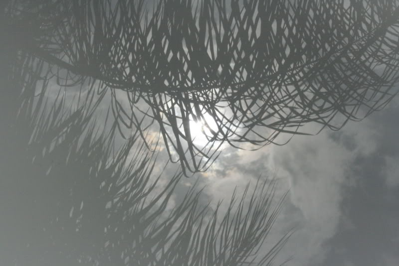 Name:  IMG_4546.jpg
Views: 79
Size:  59.8 KB