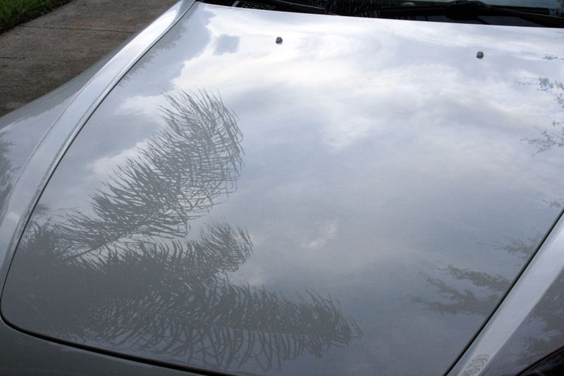 Name:  IMG_4572.jpg
Views: 81
Size:  285.7 KB