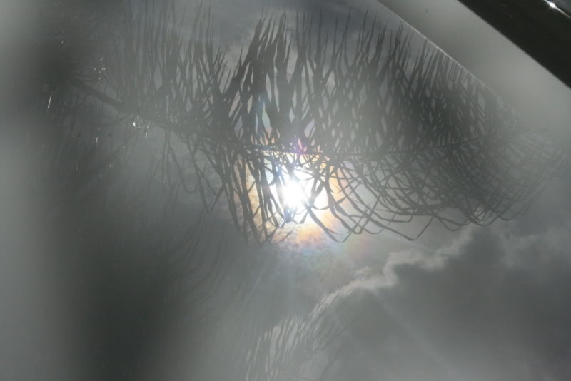 Name:  IMG_4530.jpg
Views: 50
Size:  39.5 KB