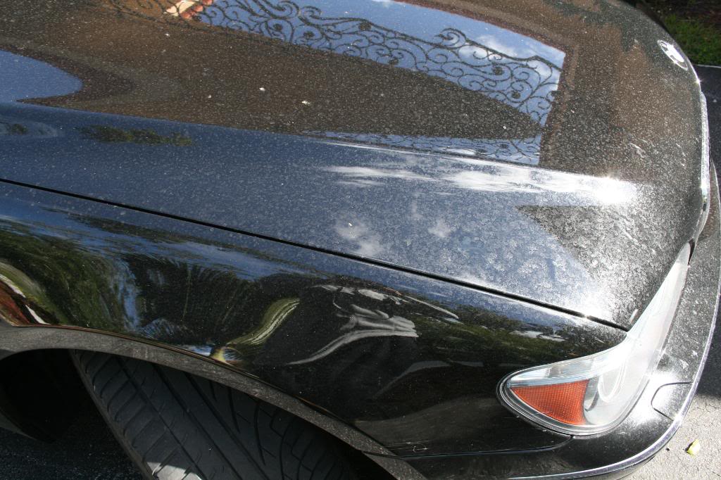 Name:  IMG_1017.jpg
Views: 178
Size:  128.5 KB