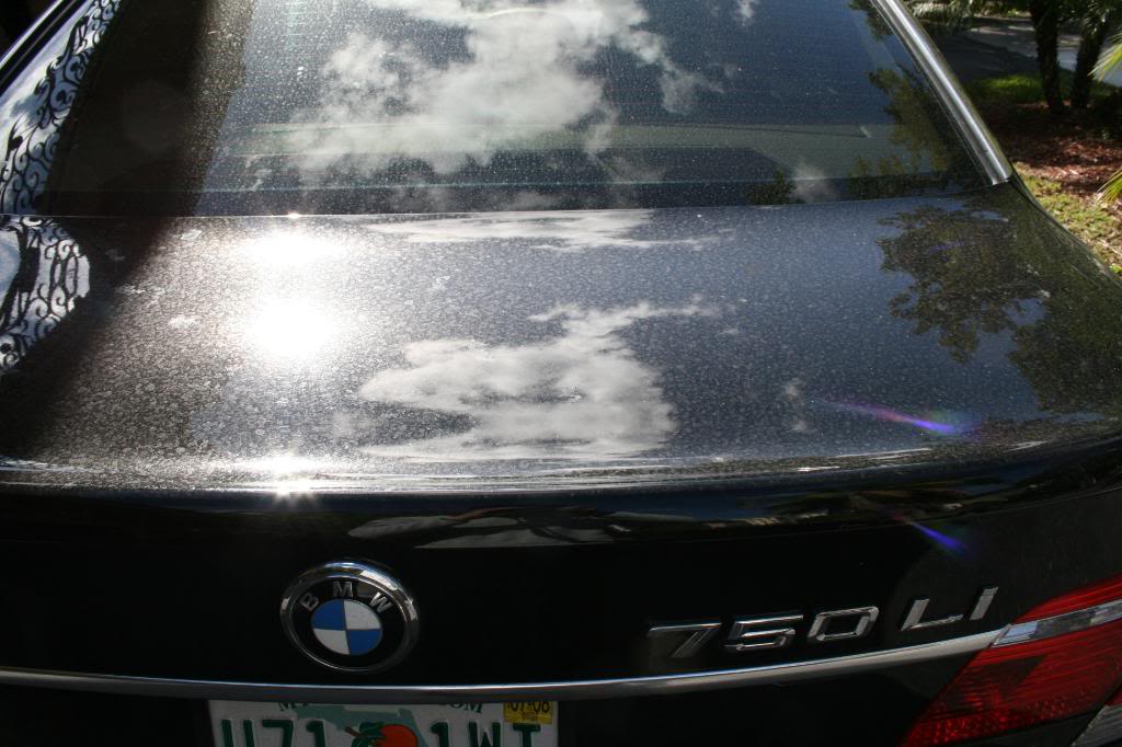 Name:  IMG_1019.jpg
Views: 154
Size:  98.5 KB