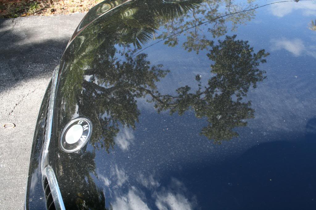 Name:  IMG_1033.jpg
Views: 156
Size:  115.1 KB