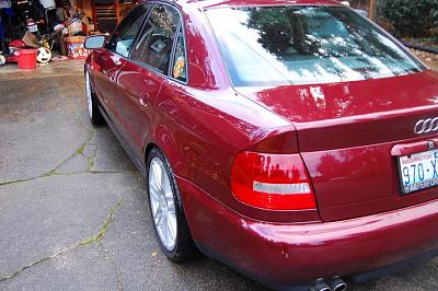 Clean Clean Clean-dsc_0288.jpg