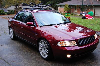 Clean Clean Clean-dsc_0285.jpg