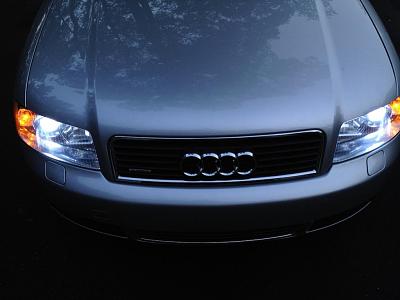 mini photoshoot after car wash-img_0657.jpg