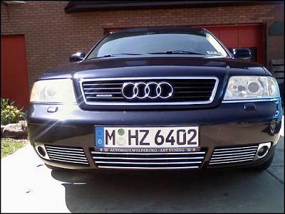 Painted my grilles..what d'you think?-04-02-09-front-factgrill.jpg