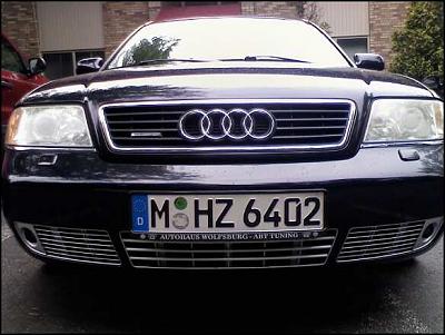 Painted my grilles..what d'you think?-metallic-grilles-06-10-09.jpg