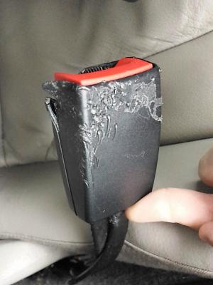 Dog chewed A4 interior. Help!-2013-12-20-09.07.32.jpg