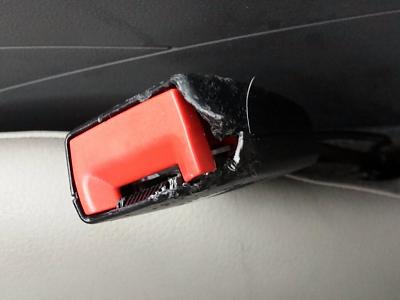 Dog chewed A4 interior. Help!-2013-12-20-09.05.14.jpg