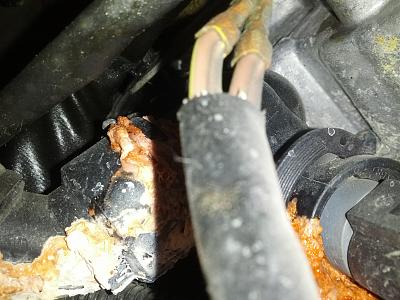 Orange liquid dripping from engine-img_20150605_151429.jpg