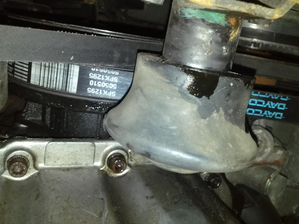 Name:  CAM00438_zps41358b84.jpg
Views: 881
Size:  86.0 KB