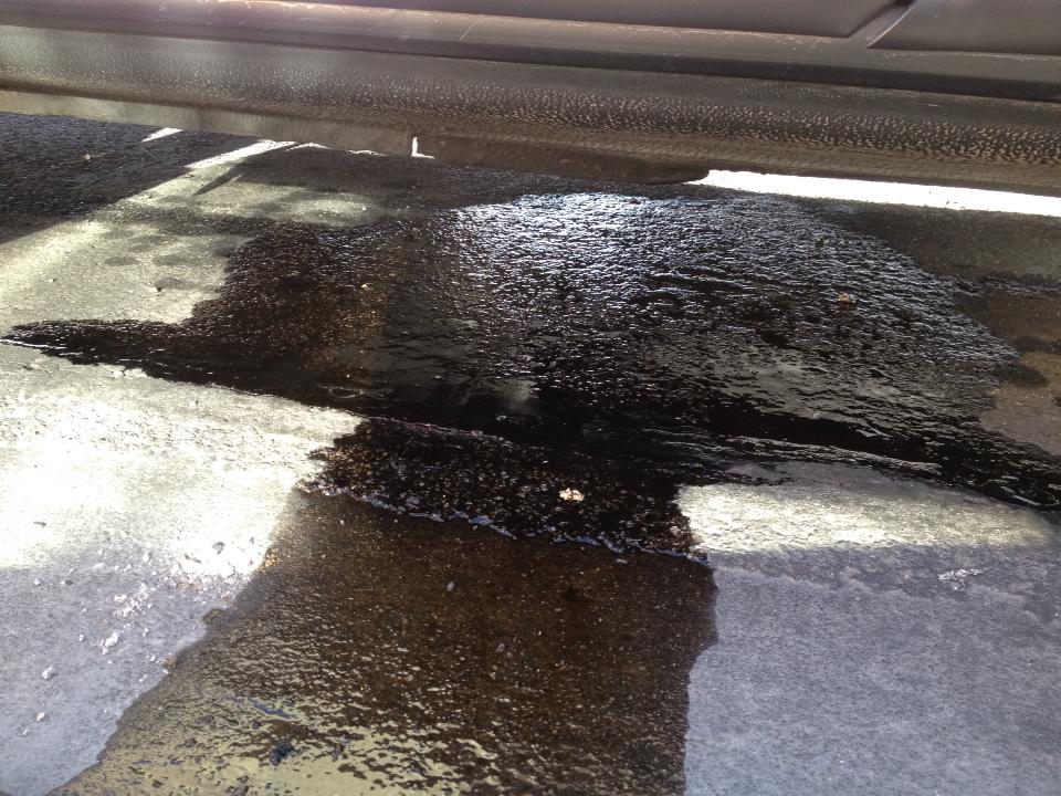 Name:  431597_360327810749199_1455657330_n_zps41f1b424.jpg
Views: 157
Size:  143.3 KB