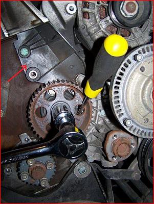 Name This Part???-timing-belt-part.jpg