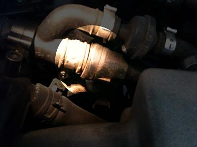loose (vacuum) hose? What is is and how to secure it. Help?-hose_closeup.jpg