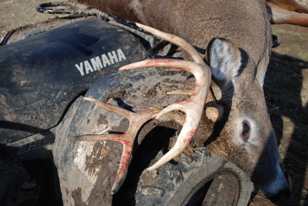 Name:  Picture623.jpg
Views: 15
Size:  169.3 KB