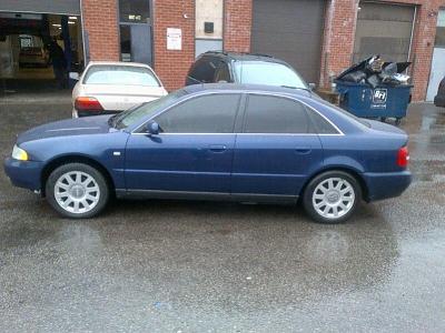 Excited new member-img-20110919-00089.jpg