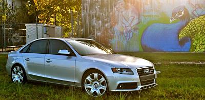 hey guy newbie here-dsc_0040.jpg