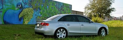 hey guy newbie here-dsc_0041.jpg