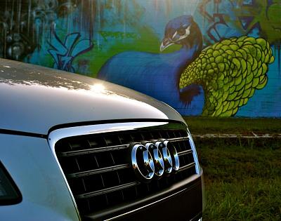 hey guy newbie here-dsc_0042.jpg