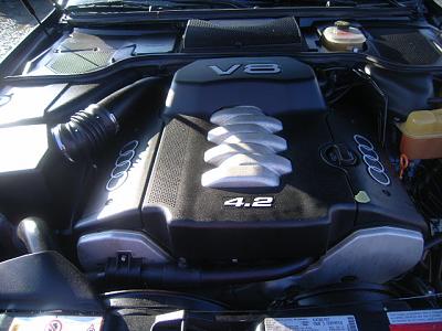 Just bought an A8!-11922712_7x.jpg