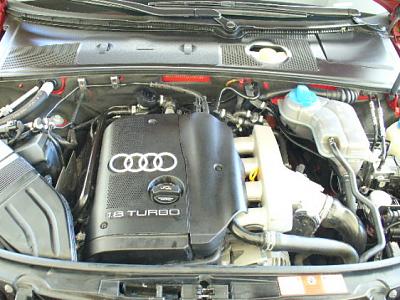 New to the group-engine.jpg