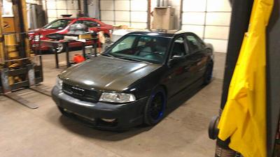 Newbie from longisland-imag1136_zpsb2240f66.jpg