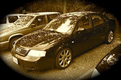 Hello Everyone-img_1517.jpg