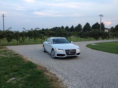 New Member-photo-1.jpg