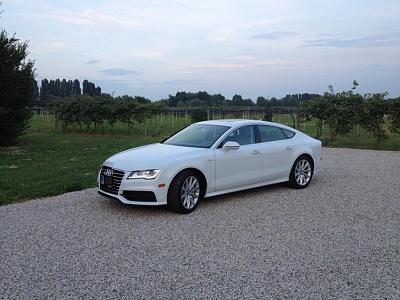 New Member-photo-2.jpg