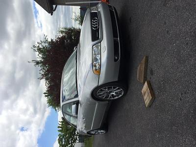 New forum member-image.jpg