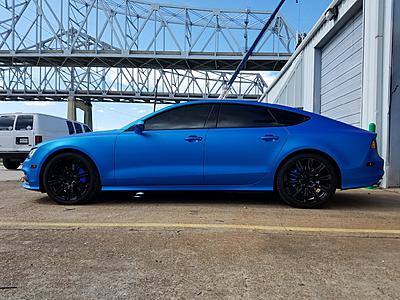 New from New Orleans, LA (NOLA)-13710556_642076019292608_6957112922672680859_o.jpg