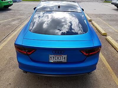 New from New Orleans, LA (NOLA)-13738215_642075962625947_1899262734422397930_o.jpg