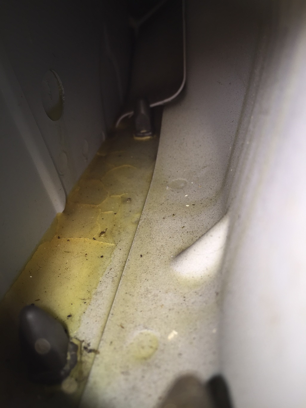 Name:  F20306B4-E699-4748-A098-84205EDC6B14_zpsrya3dcll.jpg
Views: 60
Size:  180.7 KB