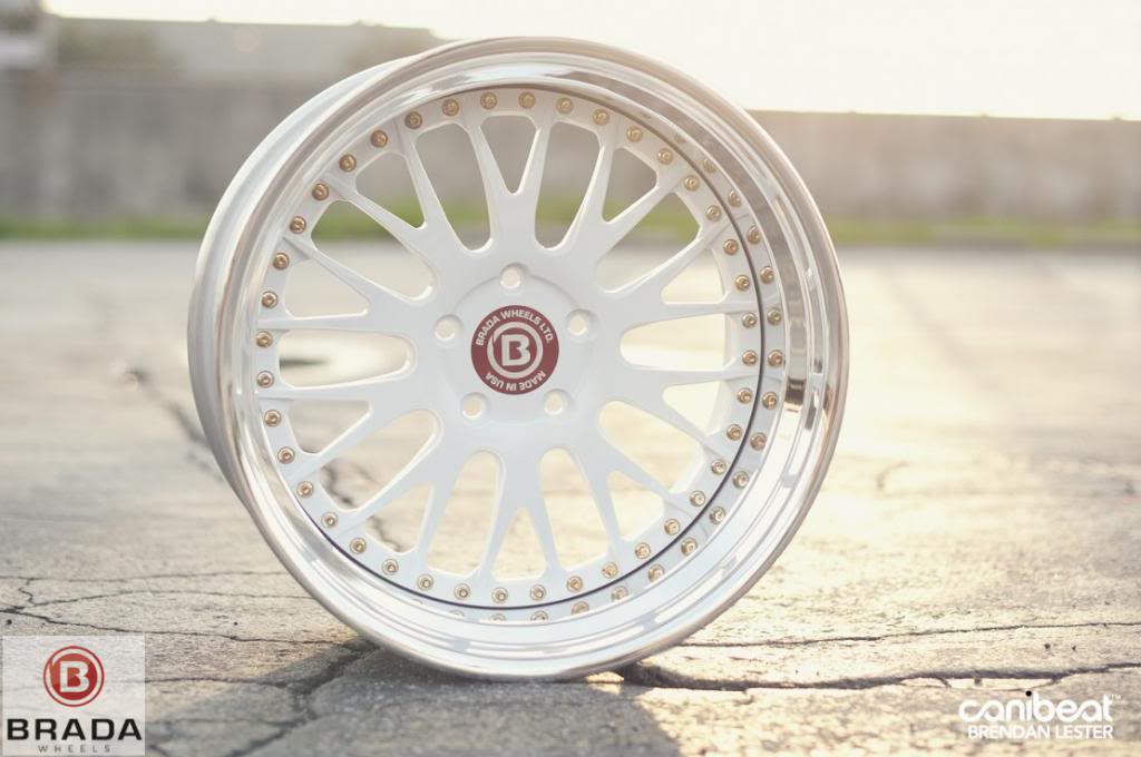 Name:  Brada-watermarked-5_zps5a37347d.jpg
Views: 139
Size:  70.3 KB