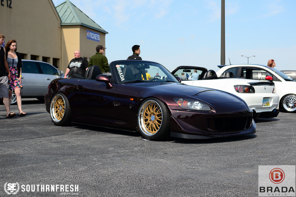 Name:  Brada-watermarked-7_zpseda0ff09.jpg
Views: 124
Size:  460.3 KB