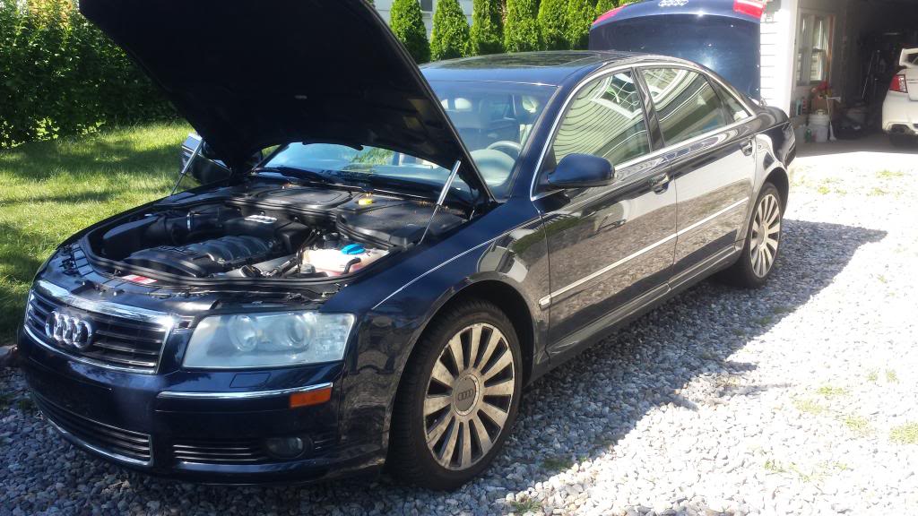 Name:  20130804_101804_zps993212d8.jpg
Views: 24
Size:  114.2 KB